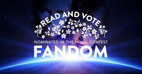 Stargate Aschen Fanfiction novel contest